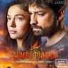 Comprar la Serie El Fenix (Zümrüdüanka) Audio-Latino Completo en USB Y DVD.