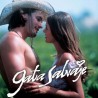 Comprar la Telenovela: Gata salvaje completo en DVD.